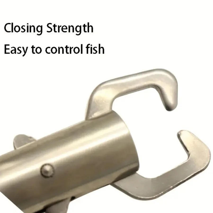 2 stücke Fisch Controller Set  – Fishing Equipment Price Bewertung und Preis