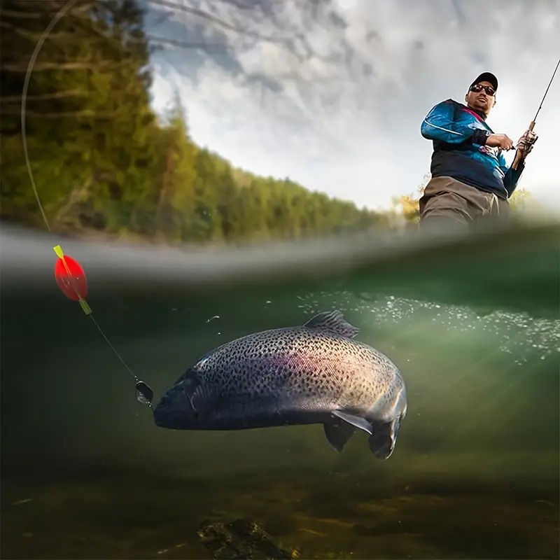 Premium 4-Farben-Fliegenfische – Fly Fishing Set Bewertung und Preis